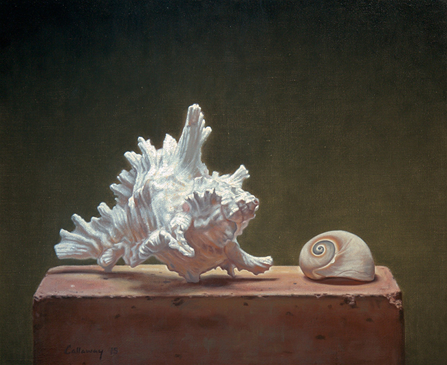 Shells on a Brick’ by Alex  Callaway